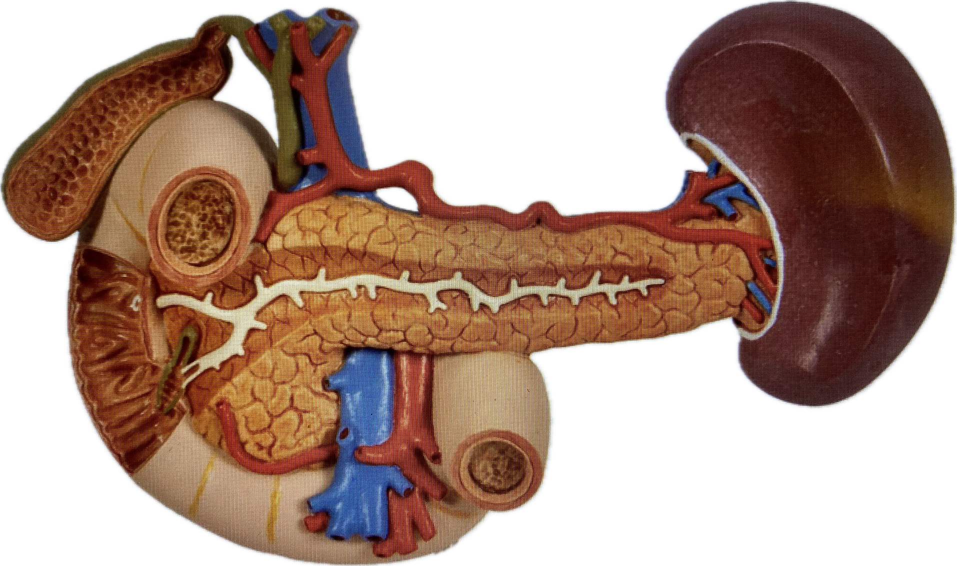 Onderwerp 2025 06 23T100649.278